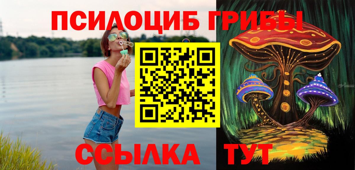Псилоцибиновые грибы Psilocybine cubensis Ипатово