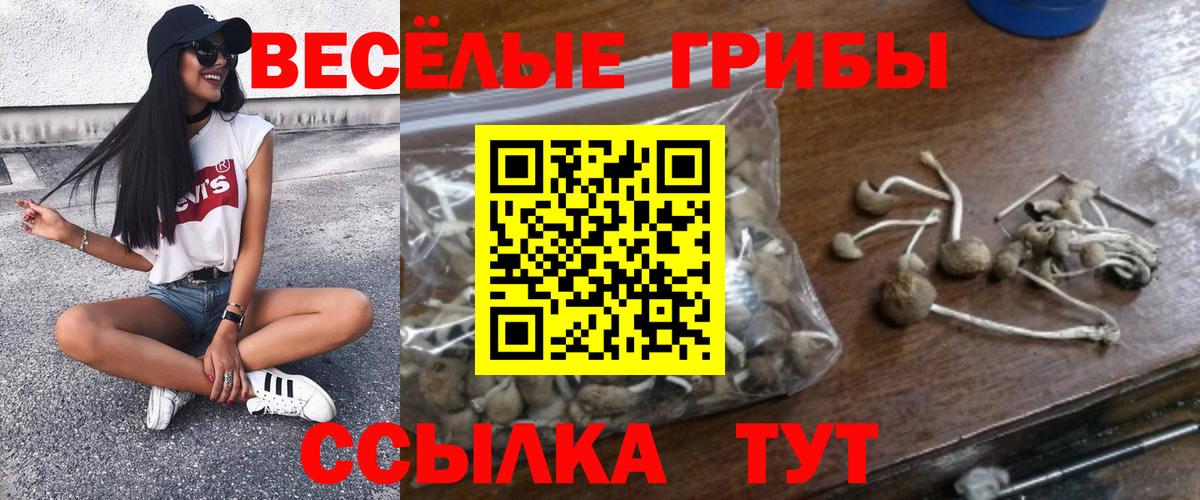 Галлюциногенные грибы мухоморы  Вход с VPN  Ипатово 